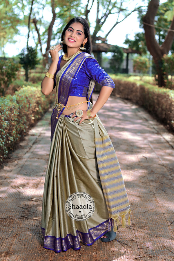 Stone Grey & Blue Soft Silk Saree With Embroidered Blouse