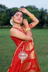 Amaryllis Red Banarasi Silk Saree